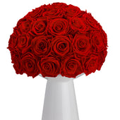 Ivoire Chic Le Luxe Light Red