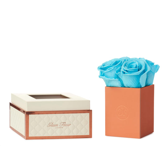 Montagé Petite Baby Blue