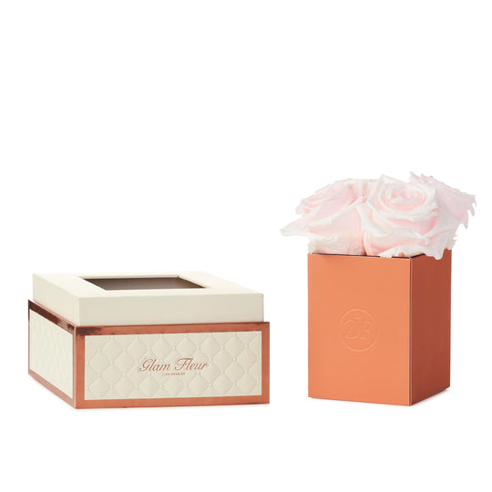 Montagé Petite Baby Pink