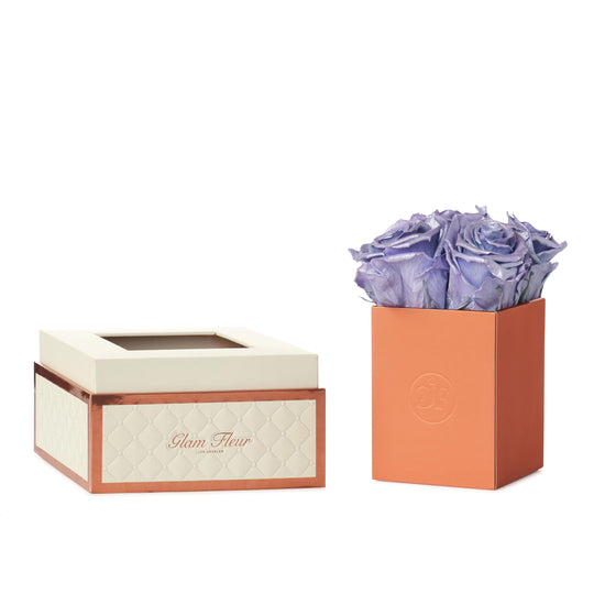 Montagé Petite Glow Lavender
