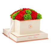 Montagé Square Light Red and Green Preserved Roses