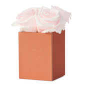 Noir Petite Baby Pink