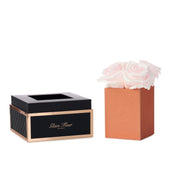 Noir Petite Baby Pink