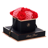 Noir Chic Light Pink and Light Red Preserved Roses