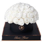 Noir Grande Round White Preserved Roses