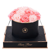 Noir Round Baby Pink and Light Pink Preserved Roses