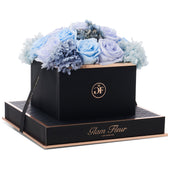 Noir Square Blue Lavender Fusion Preserved Flowers