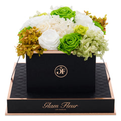 Noir Square Green Fusion