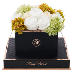 Noir Square White Oregano Fusion Preserved Flowers