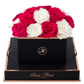 Noir Square White and Fuchsia Preserved Roses