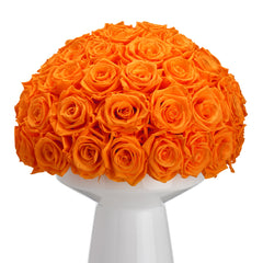 Ivoire Grande Le Luxe Orange