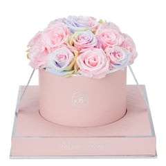 Rosé Round Candy Rainbow and Baby Pink Preserved Roses