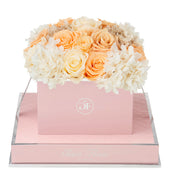 Rosé Square Peach Creme Fusion Preserved Flowers