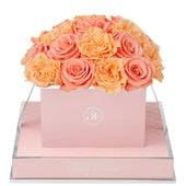 Rosé Square Van Gogh Peach and Coral Preserved Roses