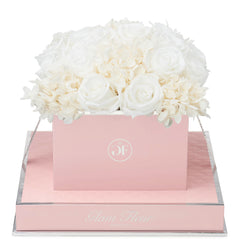 Rosé Square White Fusion Preserved Flowers