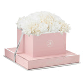 Rosé Square White Fusion Preserved Flowers