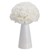 Ivoire Chic Le Luxe White