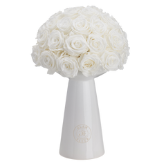 Ivoire Chic Le Luxe White
