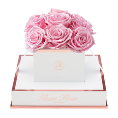 Blanche Chic Glow Pink