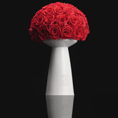 Ivoire Chic Le Luxe Light Red
