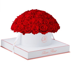 Blanche Grande Round Light Red